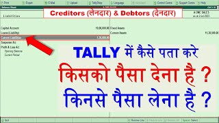 creditors and debtors in tally  debtors and creditors  how to check debtors and creditors [upl. by Ateerys]