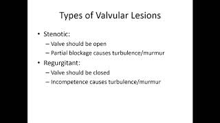 Heart Murmurs Stenosis vs Regurgitation [upl. by Zanlog384]