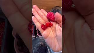 WineberryTayberry food fruit [upl. by Pollie]