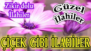 Yeni Zikirli İlahiler DinleHareketli İlahiler Karışık Güzel İlahiFull İlahi Albüm  İlahi Dinle [upl. by Lada568]