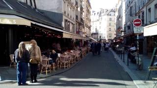 Ambiance sonore  Terrasse de café à Paris Binaural [upl. by Ahsok]