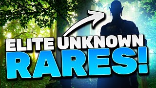 10 INSANE RARE CHAMPS NOBODY TALKS ABOUT Invest [upl. by Hiasi69]