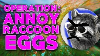 Operation ANNOY RACCOONEGGS [upl. by Rihana]