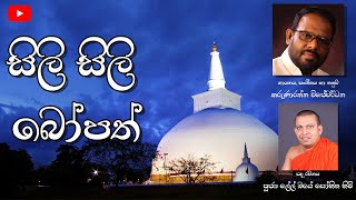 Sili Sili Bopath  Karunarathna Wijewardhana  සිලි සිලි බෝපත් [upl. by Aioj]