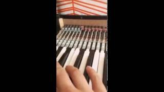 Sticky pads for Hohner Pianet T [upl. by Aihsyt]