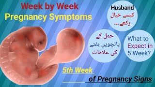 5th Week Pregnancy  Week by week pregnancyEarly pregnant symptoms  First trimester  raniababer [upl. by Gent]