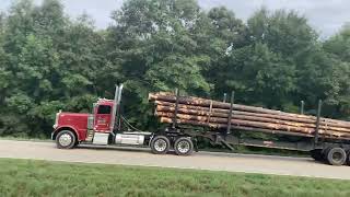 Freightliner Cascadia Peterbilt 389 day cab logging truck KW T680 next gen Marten Transport [upl. by Samal261]