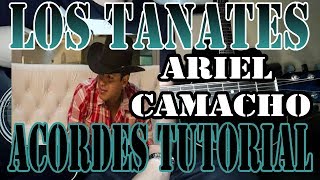 Los Tanates Ariel Camacho Tutorial Acordes Adornos Tabs [upl. by Falk]