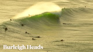 Avo on Toast  Burleigh Heads  Friday 15 March 2024 [upl. by Ofella]