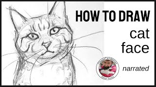 How to Draw Cat Face Front Forward View  Domestic Shorthair Tabby Head amp Shoulders Picture Pose [upl. by Haron]