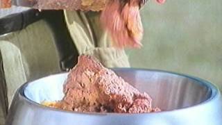 Pedigree Pal Dog Food Portugal TV Commercial [upl. by Candace]