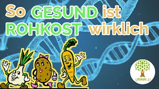 Re Wie GESUND ist ROHKOST wirklich  gRAWup [upl. by Aidole337]