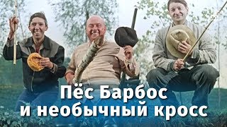 Пёс Барбос и необычный кросс FullHD комедия реж Леонид Гайдай 1961 г [upl. by Phillips]