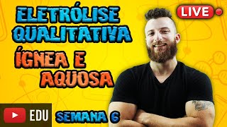 LIVE ELETRÓLISE ÍGNEA E AQUOSA  SEMANA 6 [upl. by Ahsienal]