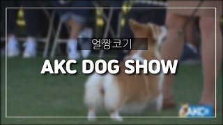 얼짱코기AKC Kennel Club of Palm Springs Dog Show 20220109Herding Group도그쇼 허딩그룹 미국 akc [upl. by Lehrer782]