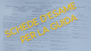 SCHEDA DI PREPARAZIONE DELLALLIEVO  Come valuto un allievo al dettaglio per il suo esame di guida [upl. by Weatherby]