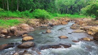 Peaceful river flowing over rocks forest stream sounds calm river sounds creek sounds ASMR [upl. by Fidela]