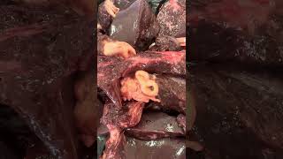 Fasciola hepática en canalículos biliares 🐮 medicinaveterinaria veterinaria [upl. by Nedia854]