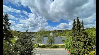 Livewebcam  Harz  Hahnenklee – Kurpark [upl. by Ailahk887]