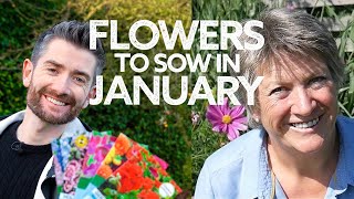 What Flowers To Sow in January  Flowers to Sow in Winter  What to Sow Now [upl. by Aim72]