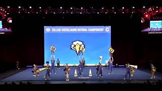 Morehead State University  Cheerleading 2024 [upl. by Heshum302]