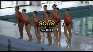 sofia  clairo  lyrics video [upl. by Damara]