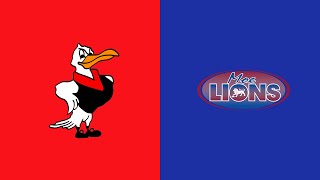 Warragul vs Moe  Full Match  Gippsland League 2024 [upl. by Meilen112]