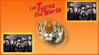 el canelo los tigres del nortewmv [upl. by Drusy]