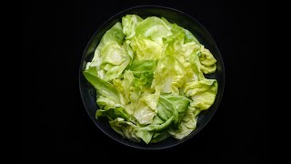 Kopfsalat einfach zubereiten traditionelles  Rezept Prepare Butterhead Lettuce Traditional Recipe [upl. by Ehtnax]