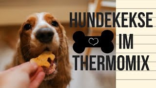 Hundekekse Grundrezept  mit und ohne Thermomix [upl. by Tomkiel]