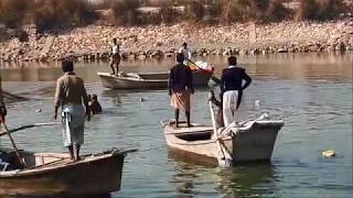 Indus River Dolphin Rescue  January 2019 [upl. by Nnylatsyrc]