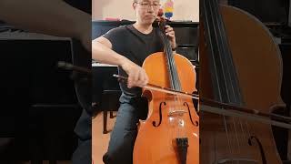 Day 186 Bach Suite No1 in G major for Cello  Allemande bar 1120 practice [upl. by Aicenert]