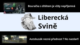 N154 Nehoda batole v autě Autobus vs dítě Idiot s malým IQ pindíkem Autobus nedá přednost [upl. by Lali]