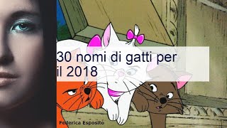 30 nomi di gatti per il 2018  per gatti [upl. by Finnegan]