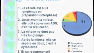 BIOLOGIE 9  UNITÉ 2  La mitose [upl. by Eeleimaj]