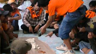 Trailer Malang 19 Pebruary 2012 [upl. by Lucilla622]