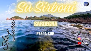 Pesca sub a Su Sirboni il cinghiale Sardegna Ogliastra [upl. by Buell821]