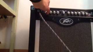 Peavey Envoy 110 Combo [upl. by Amalburga32]