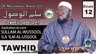 Dr Mouhammad Ahmad LO  Cours 12 سلم الوصول إلى علم الأصول  Sullam AlWussool ILA ILM ALUSSOOL [upl. by Conah]