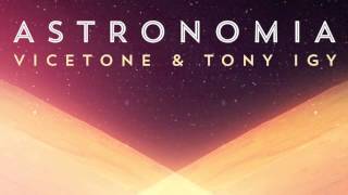 Vicetone amp Tony Igy  Astronomia [upl. by Verina]