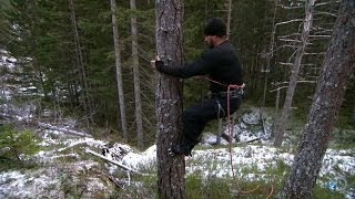 Lumberjack Tree Climbing  Dual Survival [upl. by Eiramlirpa]