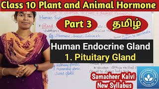 Pituitary Gland Class 10 Science Unit 16 Plant and Animal Hormone [upl. by Karlow88]