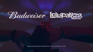 Budweiser X Lollapalooza Argentina 2024 [upl. by Icken]