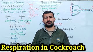 Respiratory System Of Cockroach Class 11  Irtisams Biology  Respiratory System of Cockroach [upl. by Foskett]