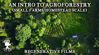 The Incredible Benefits of Agroforestry on Small Farms  Introduction to Agroforestry [upl. by Moore]