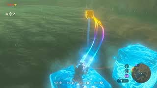 Korok seeds  Calora Lake  Faron Tower 51  Zelda BOTW [upl. by Linkoski]