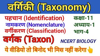 अध्याय 1 जीव जगत भाग 4 वर्गिकी एवं वर्गिकी संवर्ग Taxonomy amp Taxonomical Category [upl. by Ahsinaw]