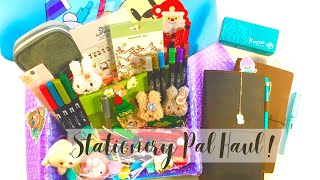 Stationery Pal Black Friday Haul NEW Fun Journaling Supplies [upl. by Harris663]