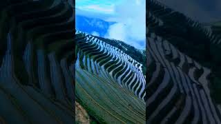 Stunning of terrace agriculture [upl. by Yedok]