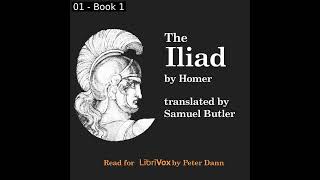 The Iliad Version 2 by Homer read by Peter Dann Part 12  Full Audio Book [upl. by Yaj]